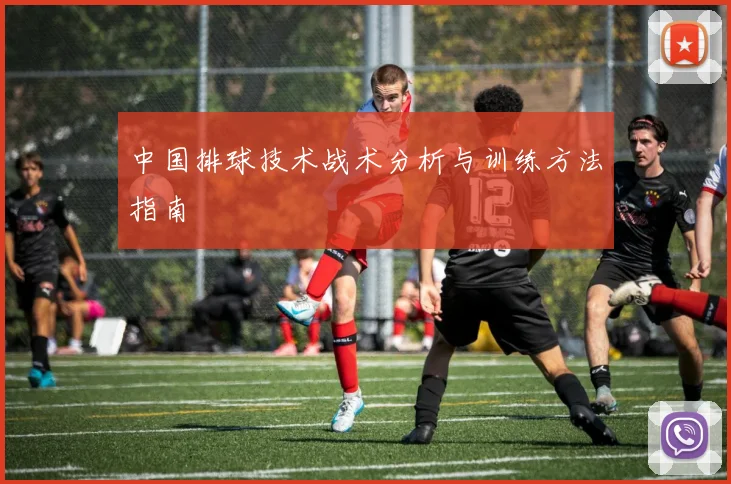 中国排球技术战术分析与训练方法指南