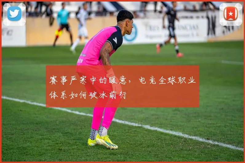 赛事严寒中的暖意,电竞全球职业体系如何破冰前行